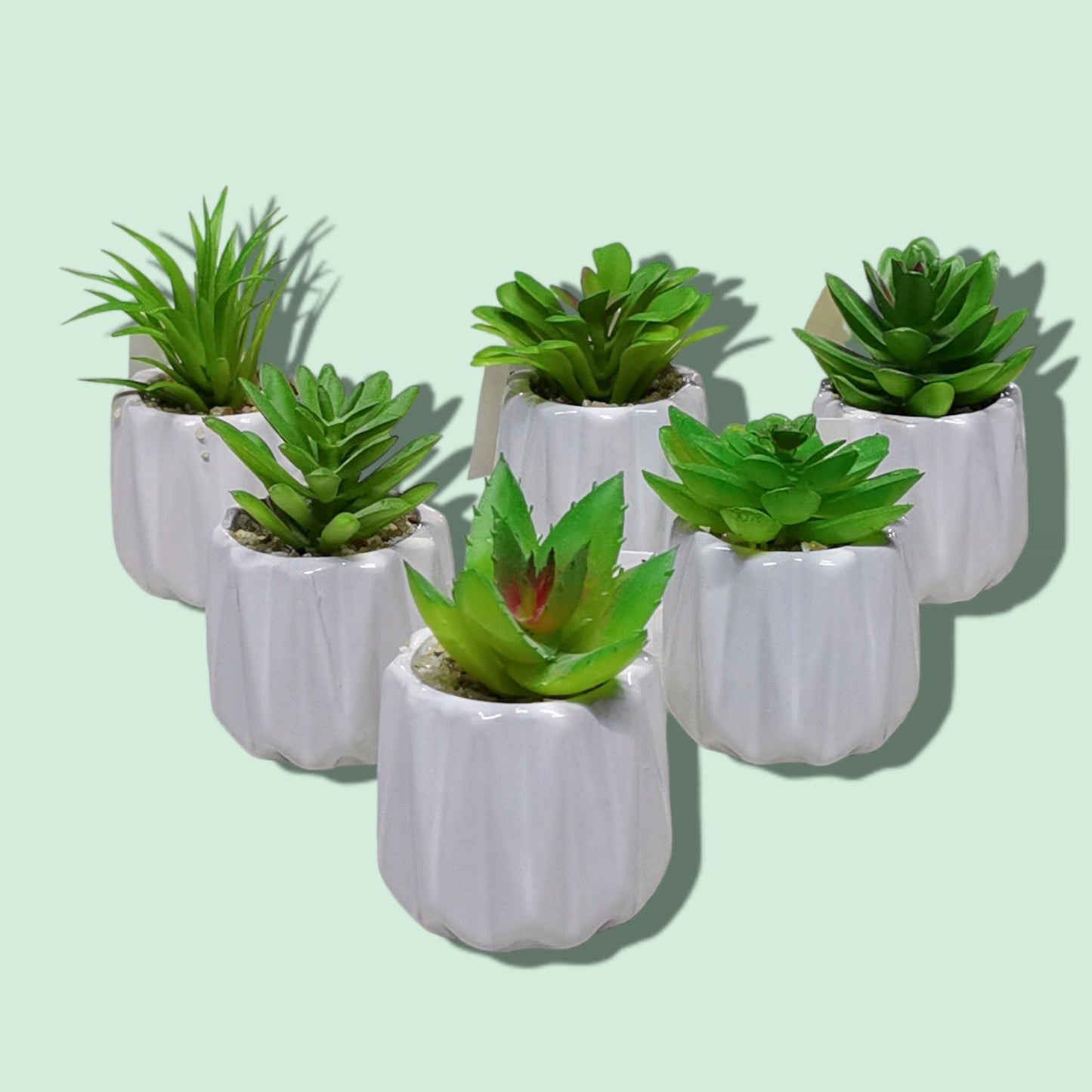 BONSAI CERAMICA RALLA 5*9CM B