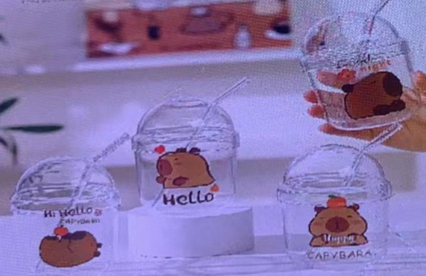 JARRA VIDRIO CAPIBARA HB-B2501