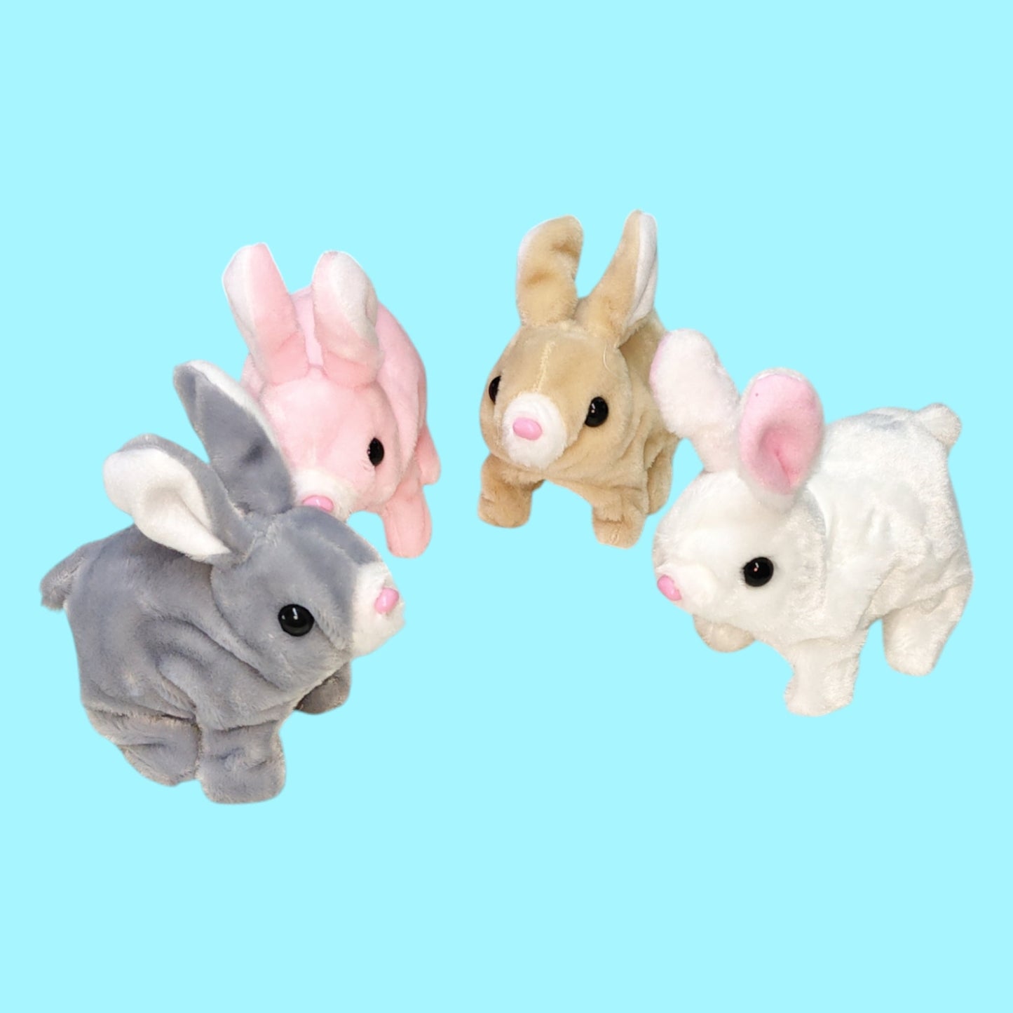 CONEJO CAMINO 4 COLOR