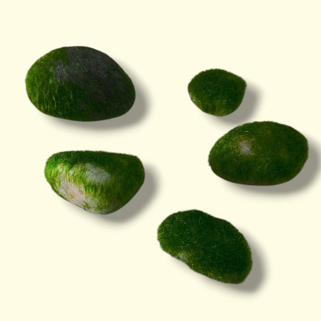 PLANTA PIEDRA PARA PECERA XC-294A