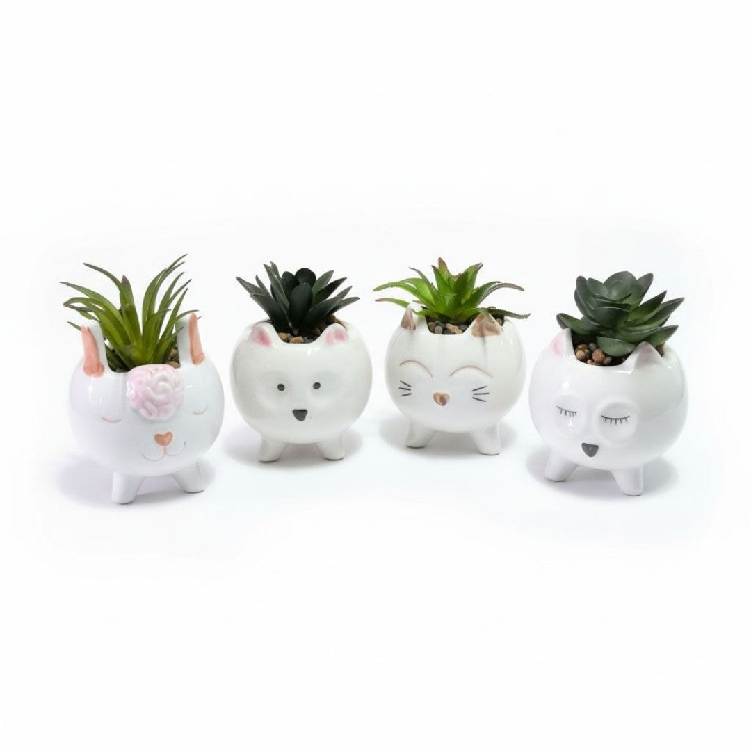 MACETA CERAMICA GATO C