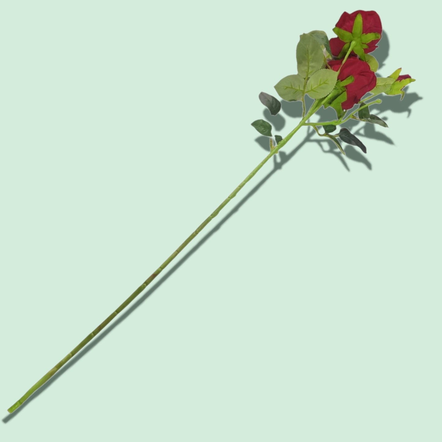 ROSA 3 RAMO ZF46