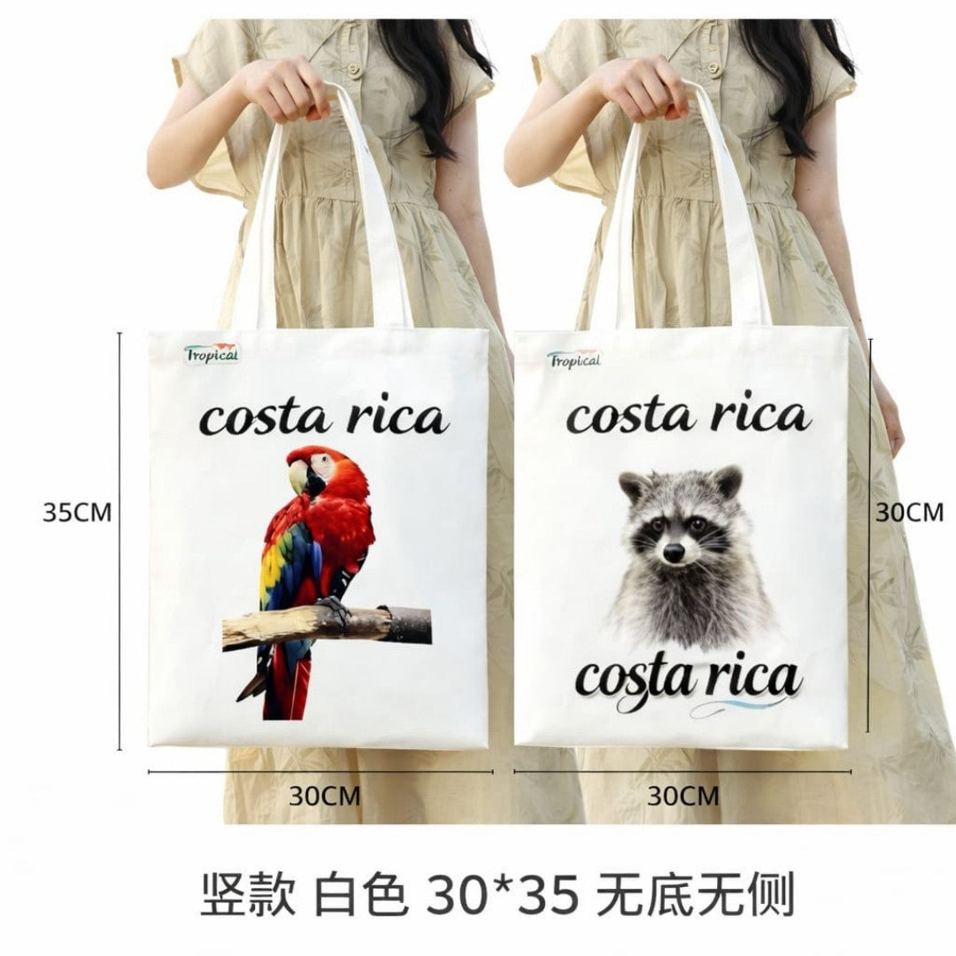 BOLSO TELA COSTA RICA 32*38