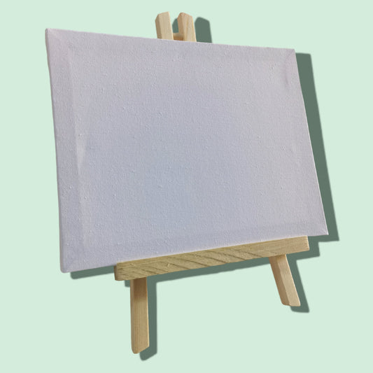 LIENZO PARA PINTAR 20*25 C/TRIPODE 30CM
