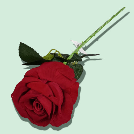 ROSA 1RAMO ZF02