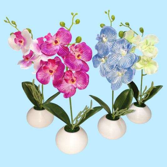 BONSA ORQUIDEA 0162-1