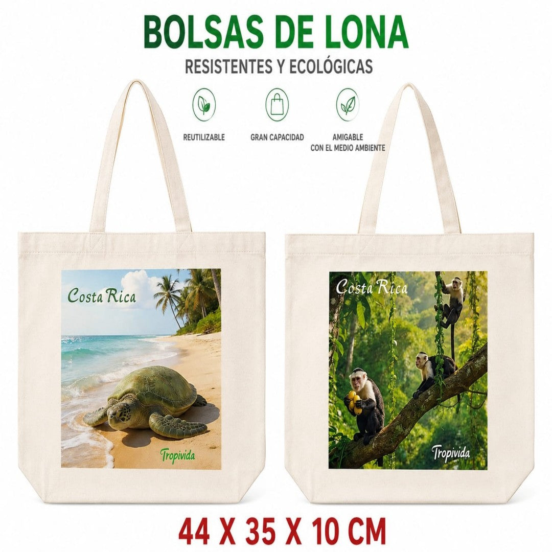 BOLSO TELA COSTA RICA TR 44*35*10 C