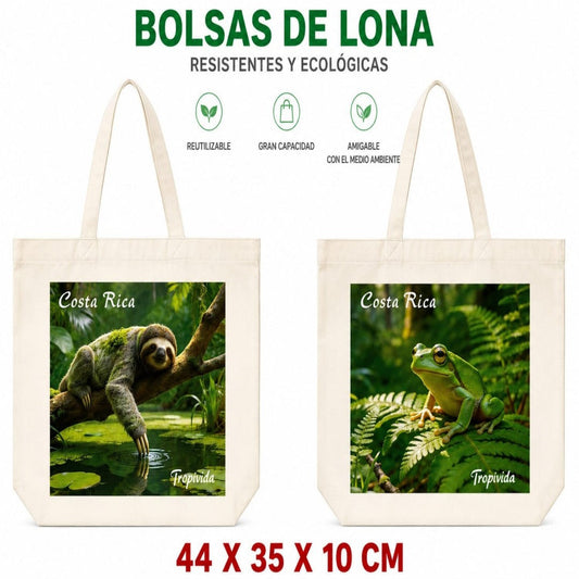 BOLSO TELA COSTA RICA TR 44*35*10 D