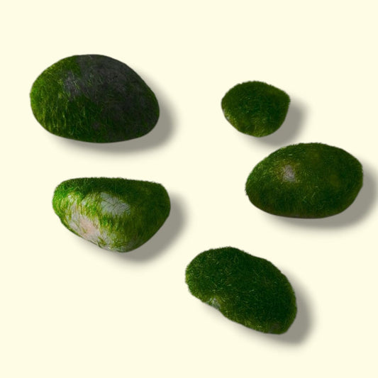 PLANTA PIEDRA PARA PECERA XC-294A