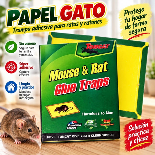 PAPEL GATO PEQ CB-8619 1