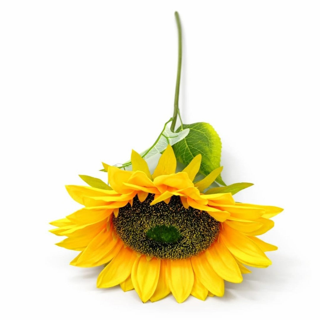 GIRASOL 66CM