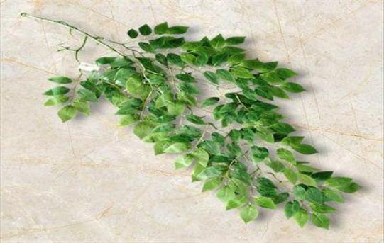 RAMA HOJA VERDE 0323-11