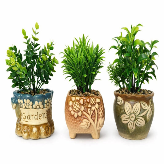 BONSAI CERAMICA DISENO