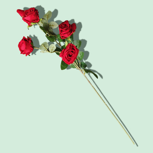 ROSA 5 RAMO