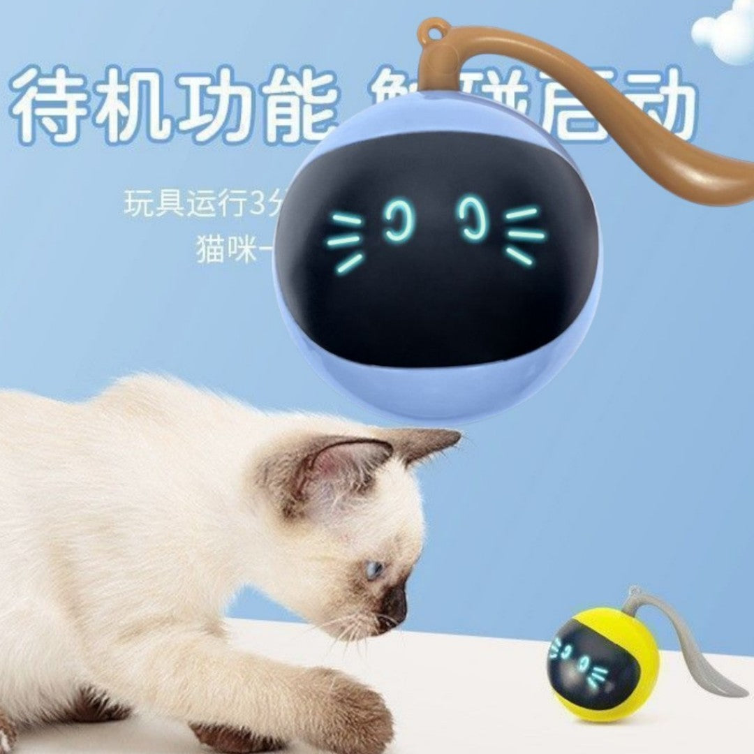 JUGUETE BOLA ELECTRICA PARA GATO