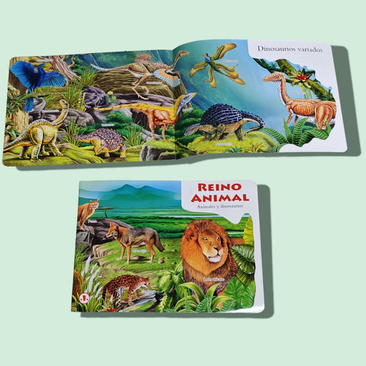 LIBRO DE CUENTOS ESPANOL 976-927