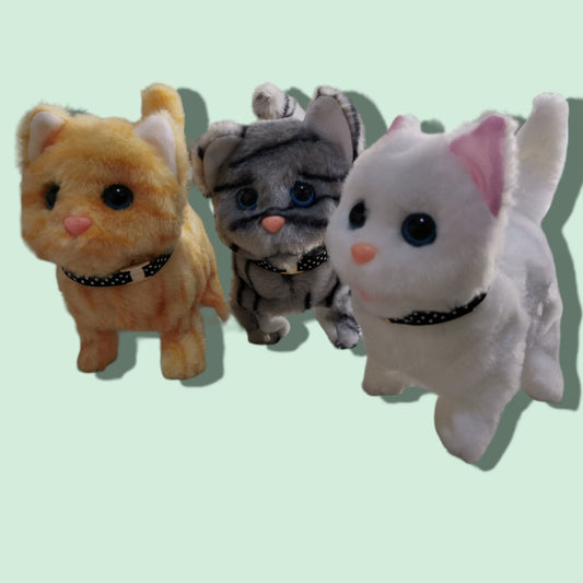GATO CAMINO SONIDO